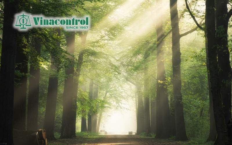 06.04.22_vfcs-pefc_800 06.04.22_vfcs-pefc_800