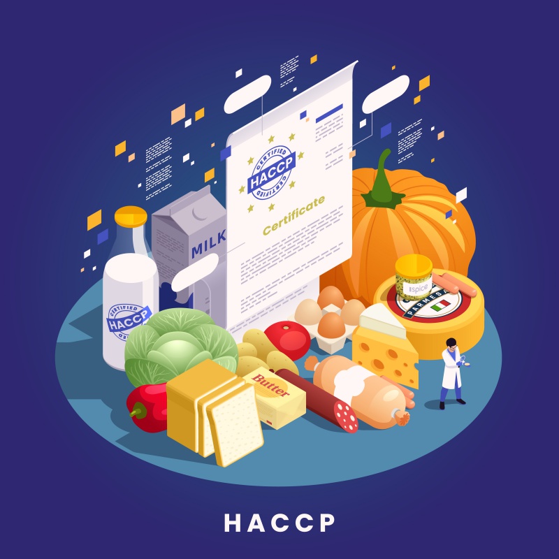 2112.i101.031.s.m004.c13.haccp_food_safety_isometric_800