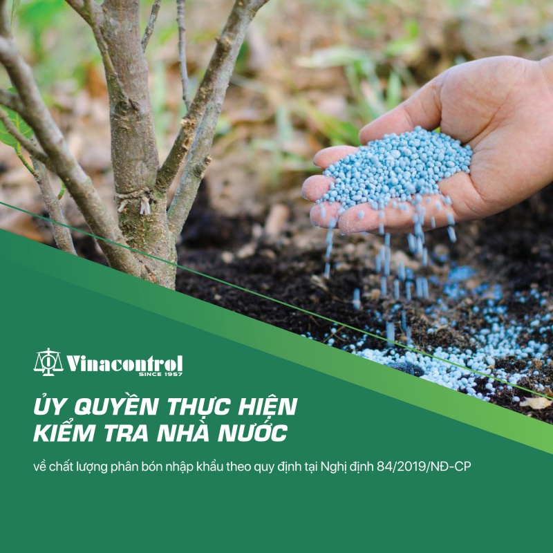 4c412cb353d3a68dffc2_800