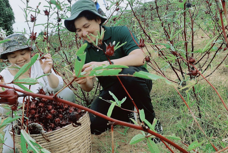 bfeeee55c2b208ec51a3_800