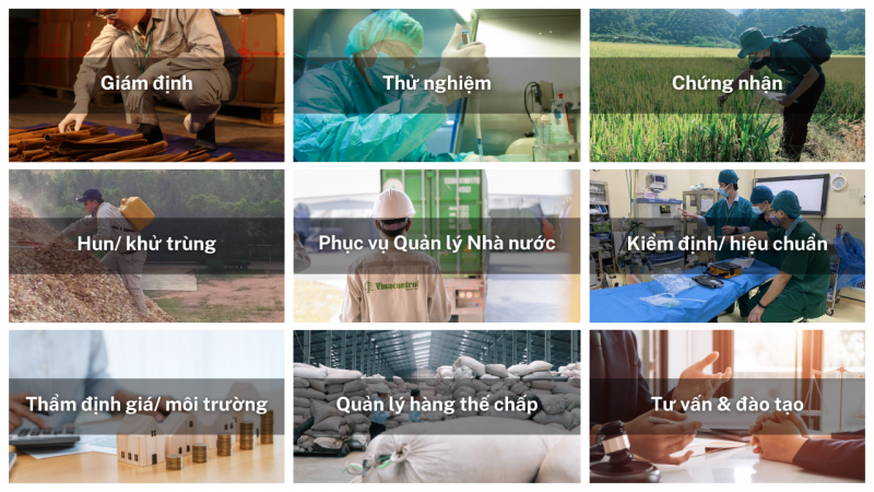 cac_dich_vu_trong_diem_cua_vinacontrol_800