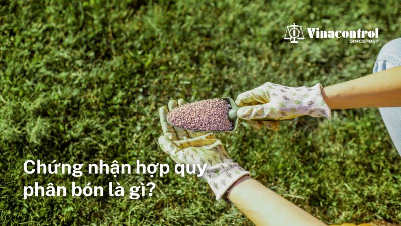 chung-nhan-hop-quy-phan-bon-la-gi_800