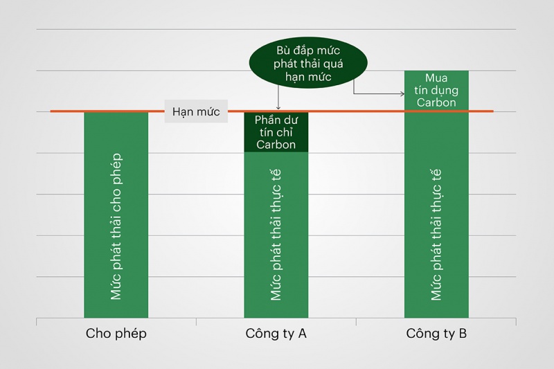 co_che_hoat_dong_thi_truong_tin_chi_carbon_bat_buoc_800