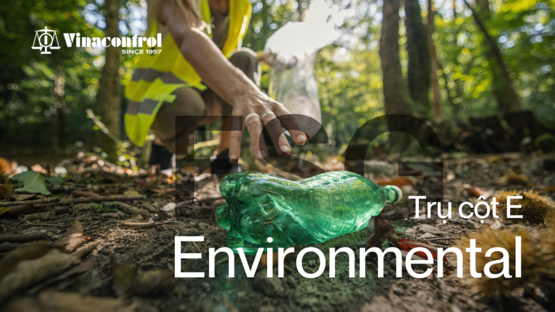 esg_environmental_pillar_800