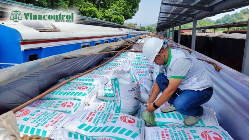 frame_nh_website_800_01