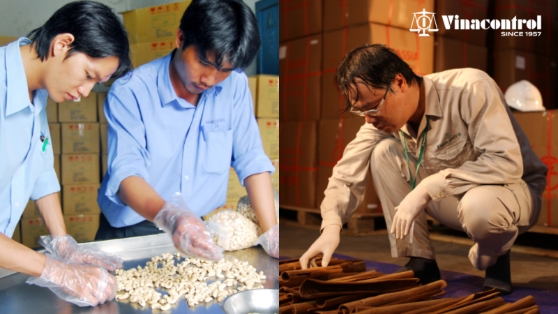 giam_dinh_hat_dieu_va_que_vinacontrol_800