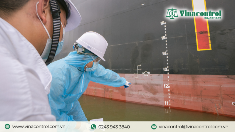 giam_dinh_mon_nuoc_la_gi_800