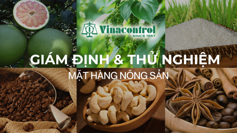 giam_dinh_va_thu_nghiem_nong_san_xuat_khau_800