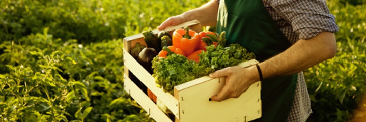 organik-tarim-egitimi-sona-erdi organik-tarim-egitimi-sona-erdi