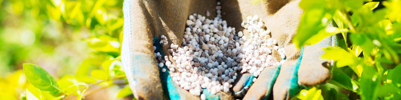 san_pham_nong_hoa_hoc_800