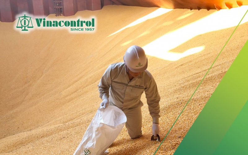 tacn__nh_nh_website_16-10_800