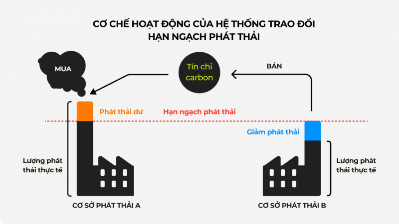 thi_truong_tin_chi_carbon_co_che_hoat_dong_800 thi_truong_tin_chi_carbon_co_che_hoat_dong_800