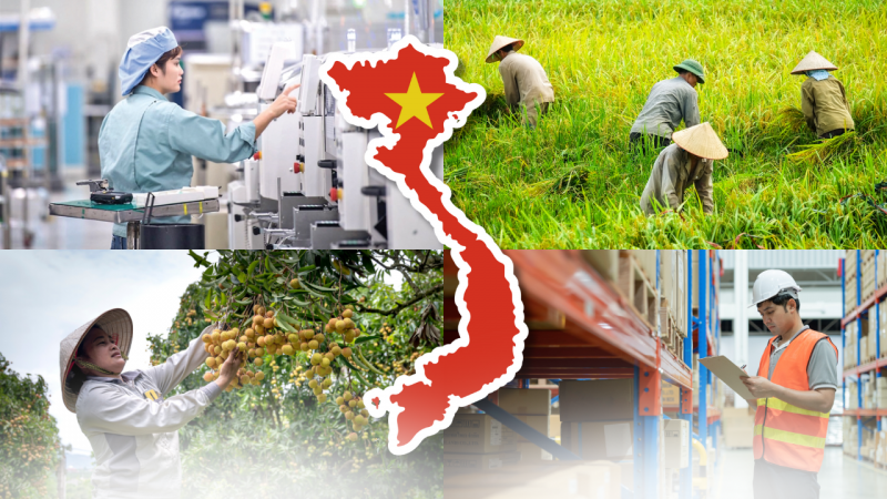 thuc_trang_phat_trien_ben_vung_tai_viet_nam_800_02 thuc_trang_phat_trien_ben_vung_tai_viet_nam_800_02