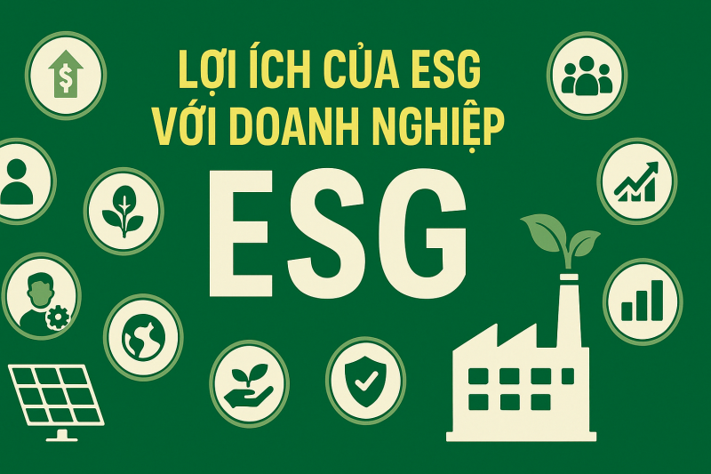 why_to_conduct_esg_800_01