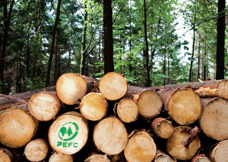 PEFC; Quản lý rừng bền vững với Vinacontrol; Sustainable Forest Management with Vinacontrol PEFC; Quản lý rừng bền vững với Vinacontrol; Sustainable Forest Management with Vinacontrol