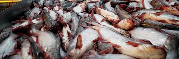 catra_vinacontrol_3x1