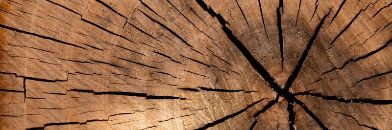 vinacontrol_giam_dinh_go_2_800