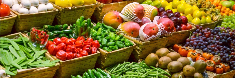 vinacontrol_nongsan_3x1_800 vinacontrol_nongsan_3x1_800