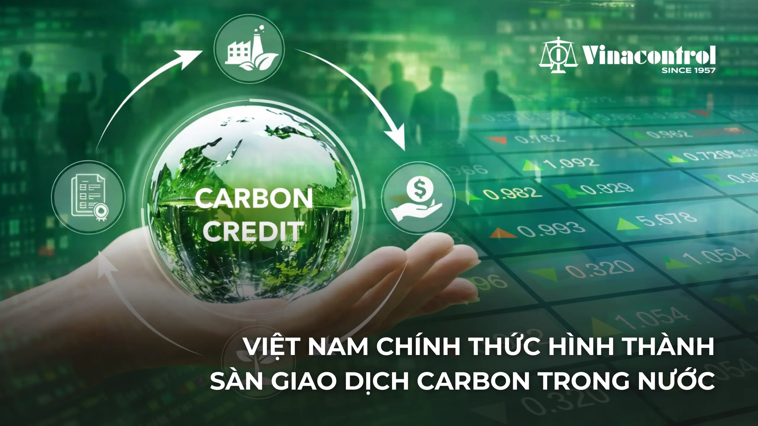 Chính phủ chính thức ban hành Nghị định số 29/2026/NĐ-CP về sàn giao dịch carbon trong nước.