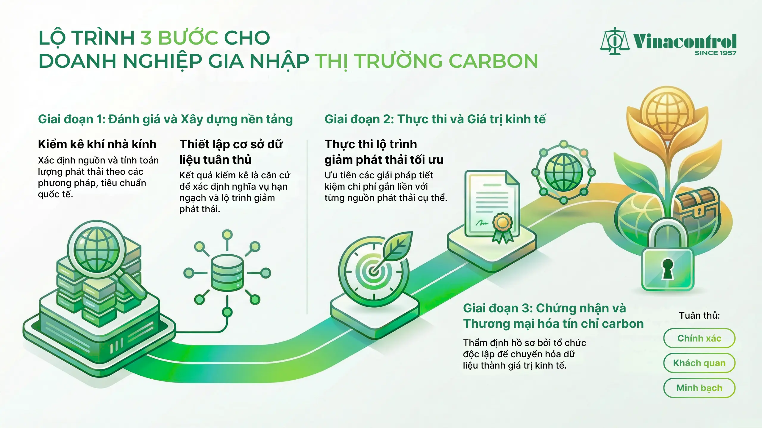 Lộ trình 3 bước cho doanh nghiệp gia nhập thị trường carbon.