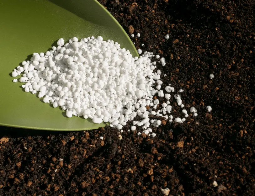 chứng nhận hợp quy phân bón