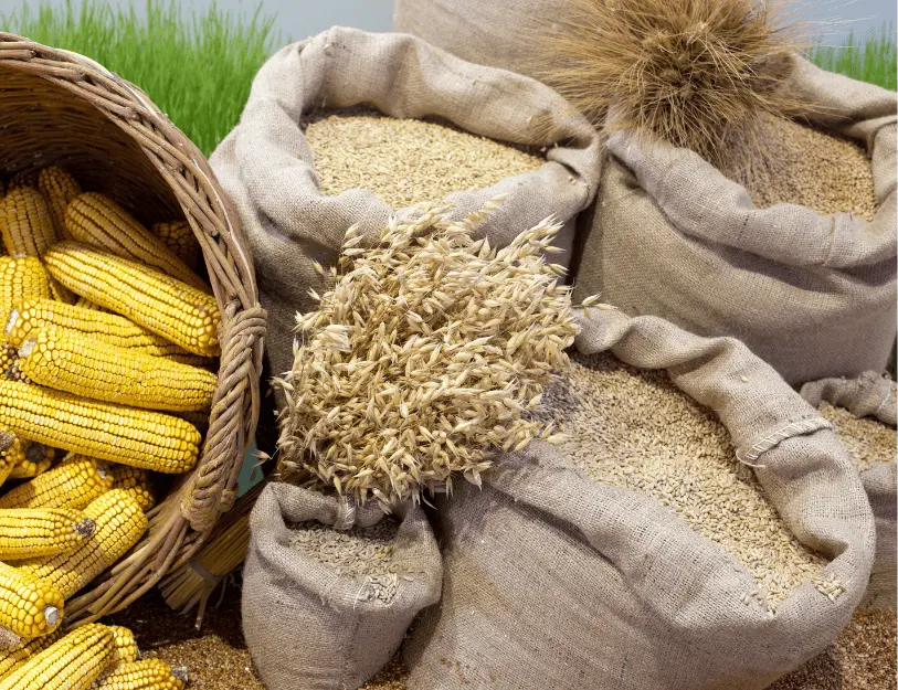 Giám Định Nông Sản và Thực Phẩm