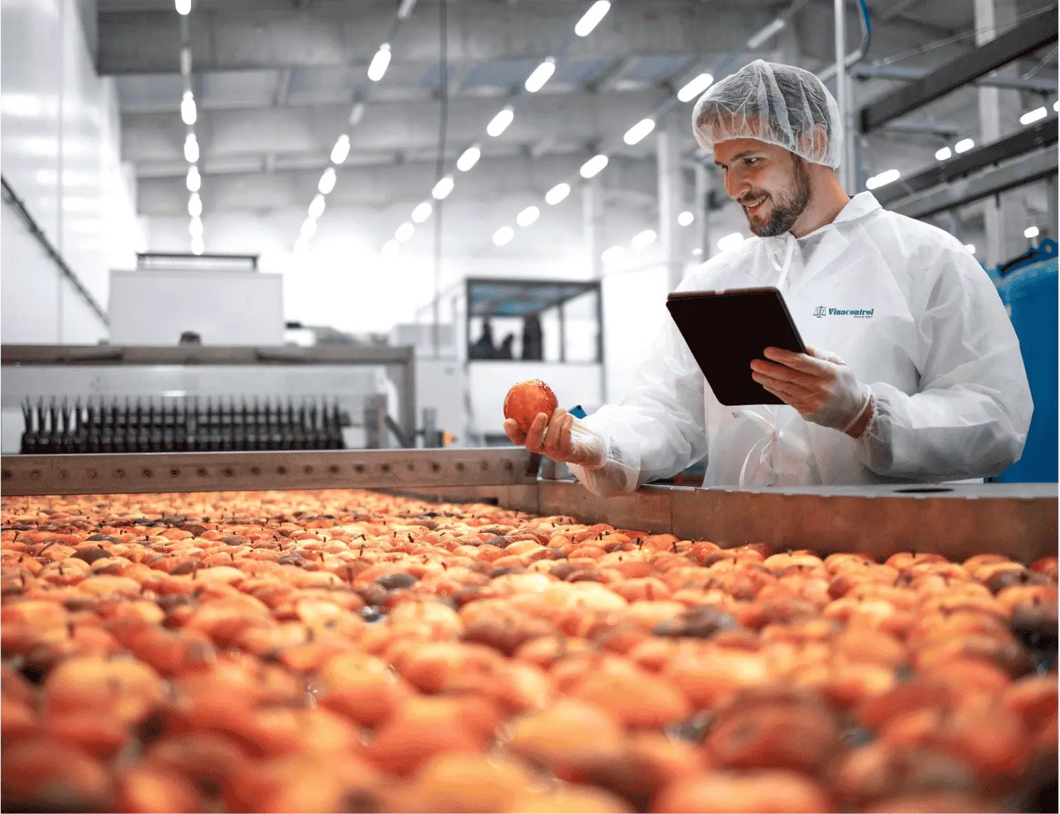 Các dịch vụ giám định chính