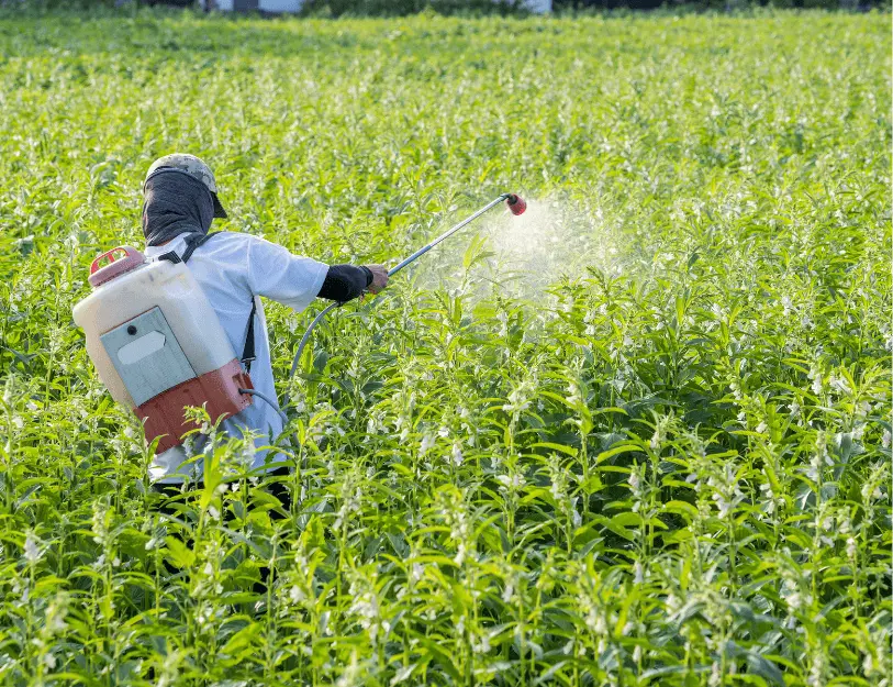 Sản phẩm Nông hoá học