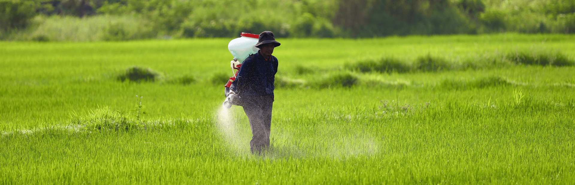 Chứng Nhận Hợp Quy Phân Bón