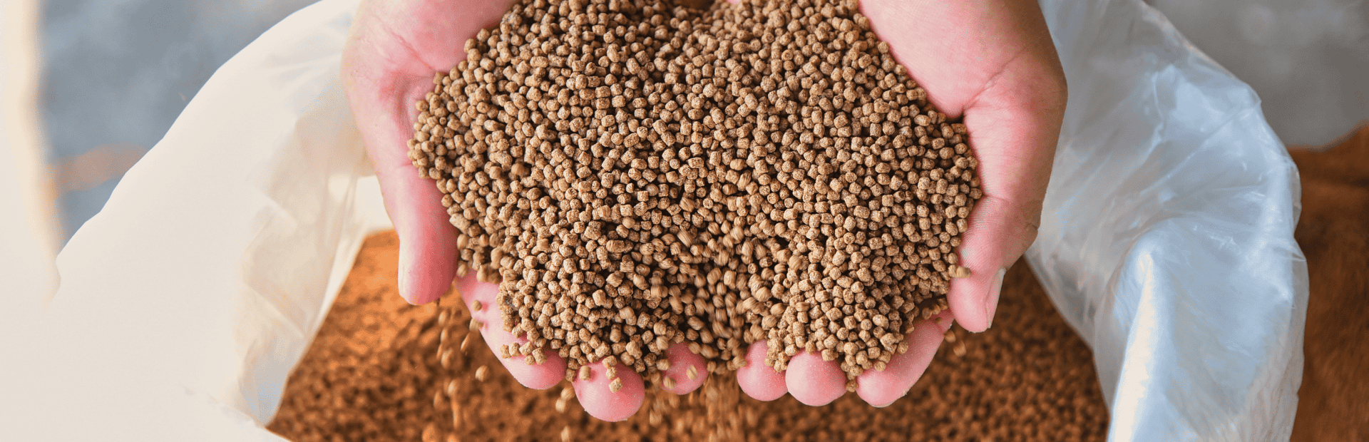 Chứng Nhận Hợp Quy Thức Ăn Chăn Nuôi