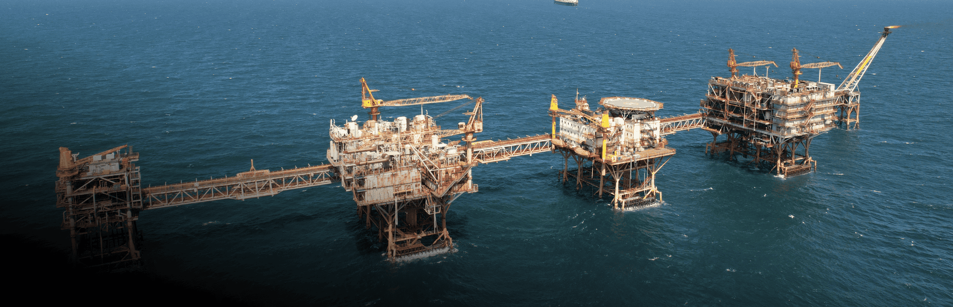 Giám định xăng, dầu