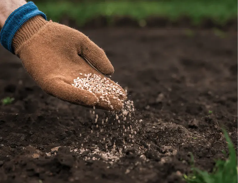 Chứng Nhận Hợp Quy Phân Bón