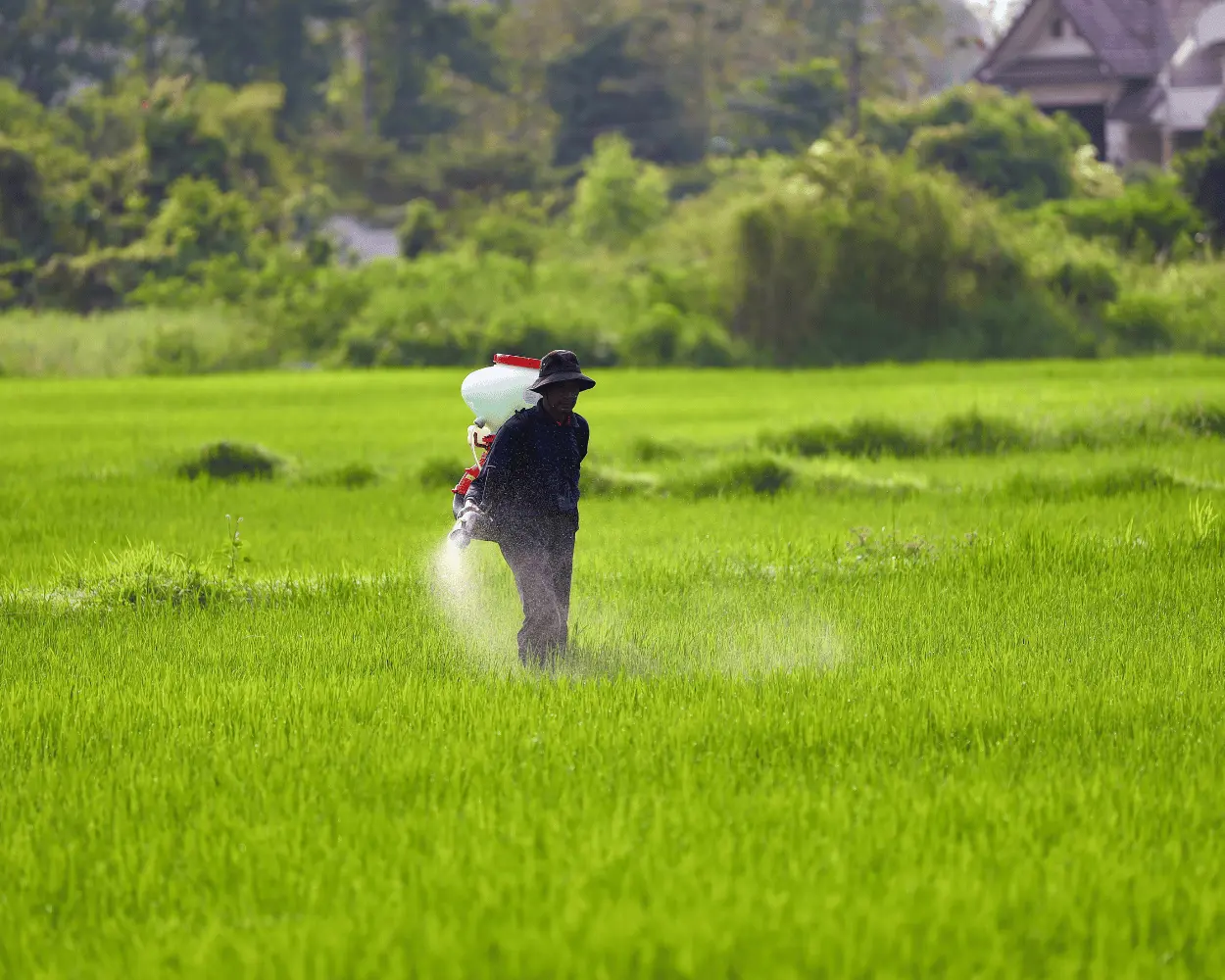 Chứng Nhận Hợp Quy Phân Bón