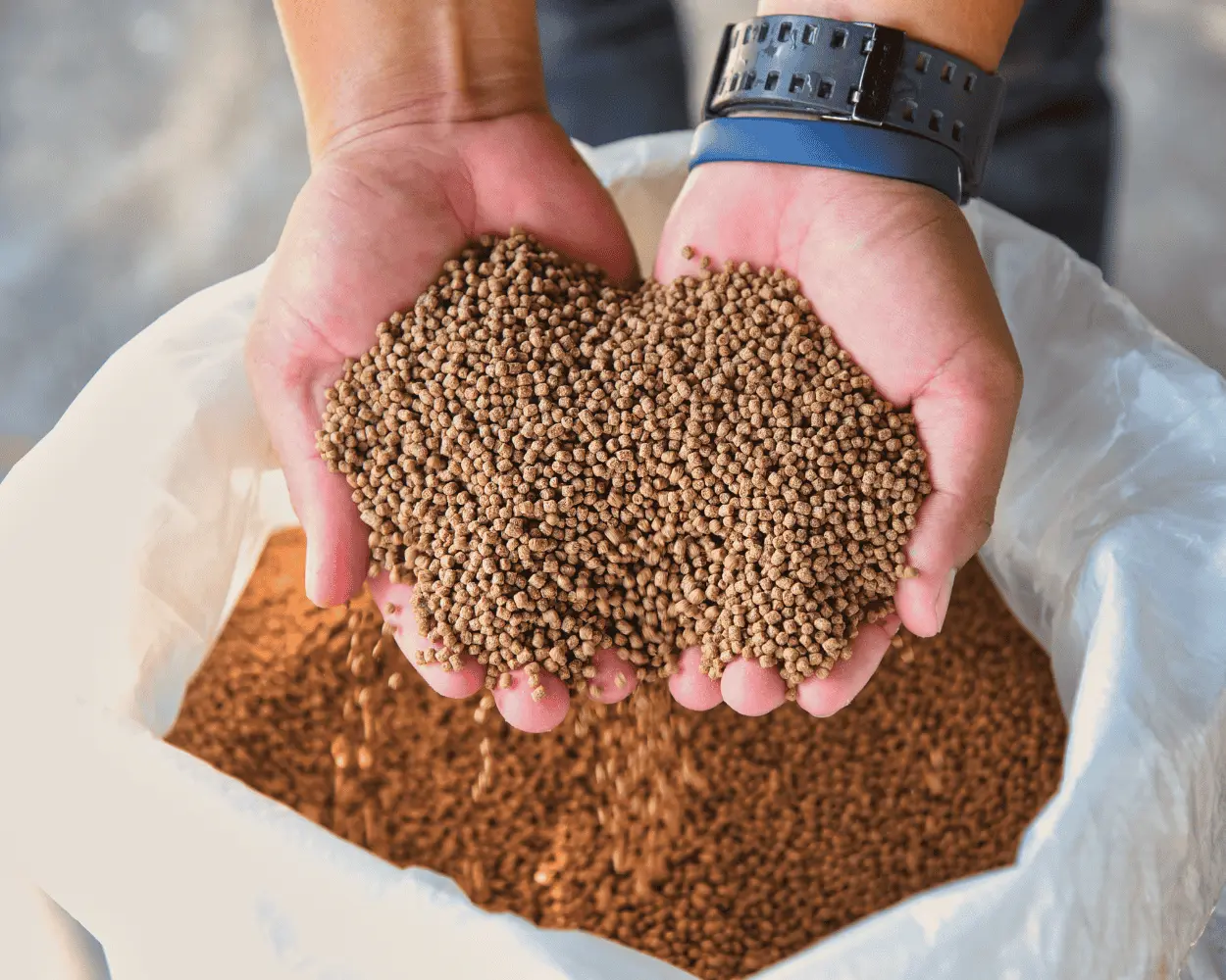 Chứng Nhận Hợp Quy Thức Ăn Chăn Nuôi