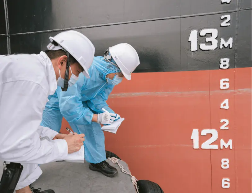 Giám Định Mớn Nước