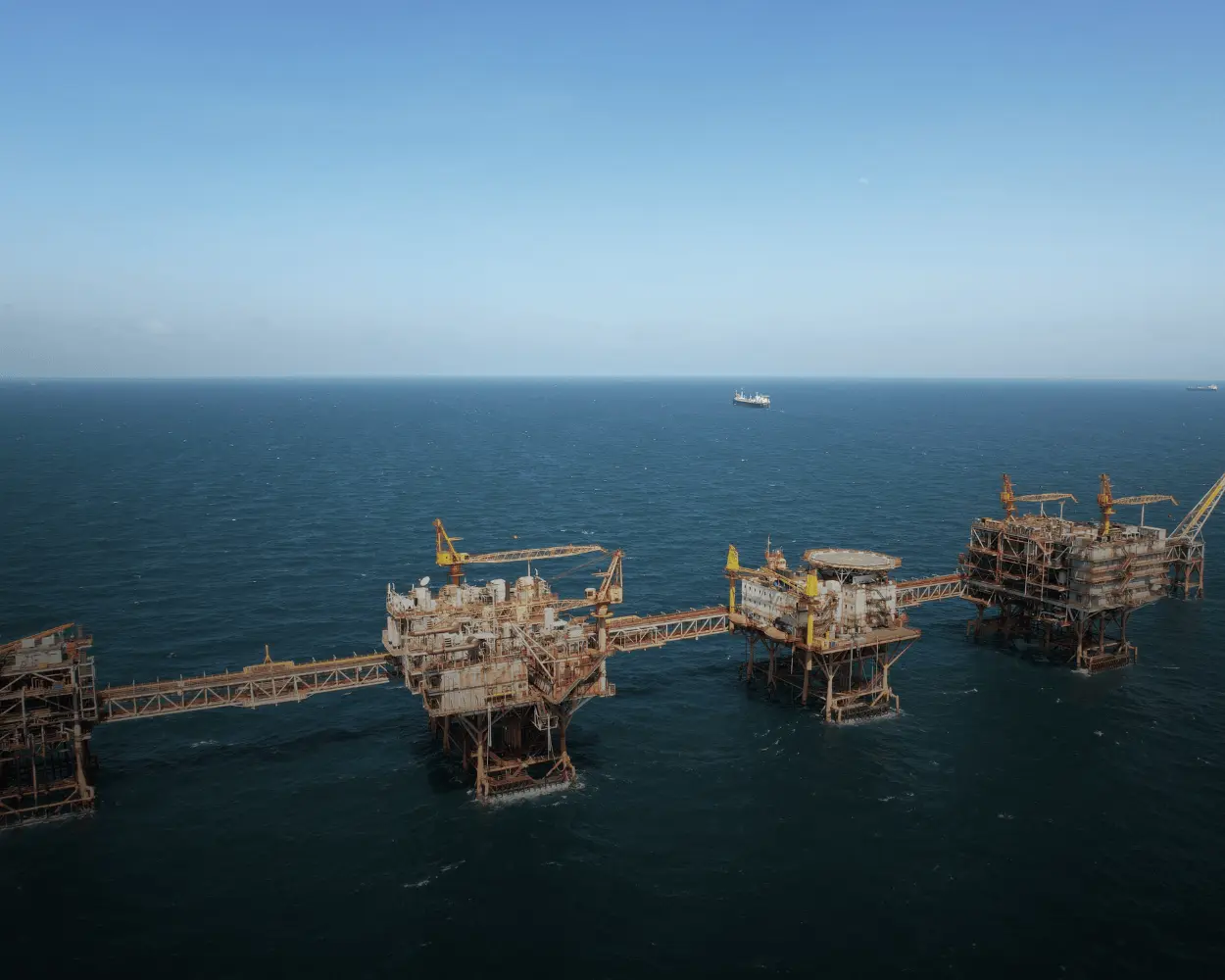 Giám định xăng, dầu