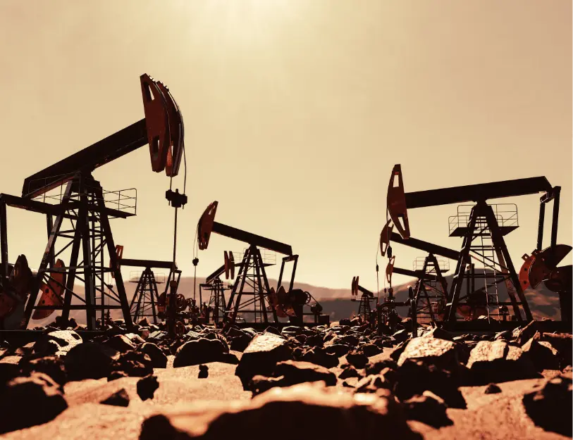 Giám định xăng, dầu